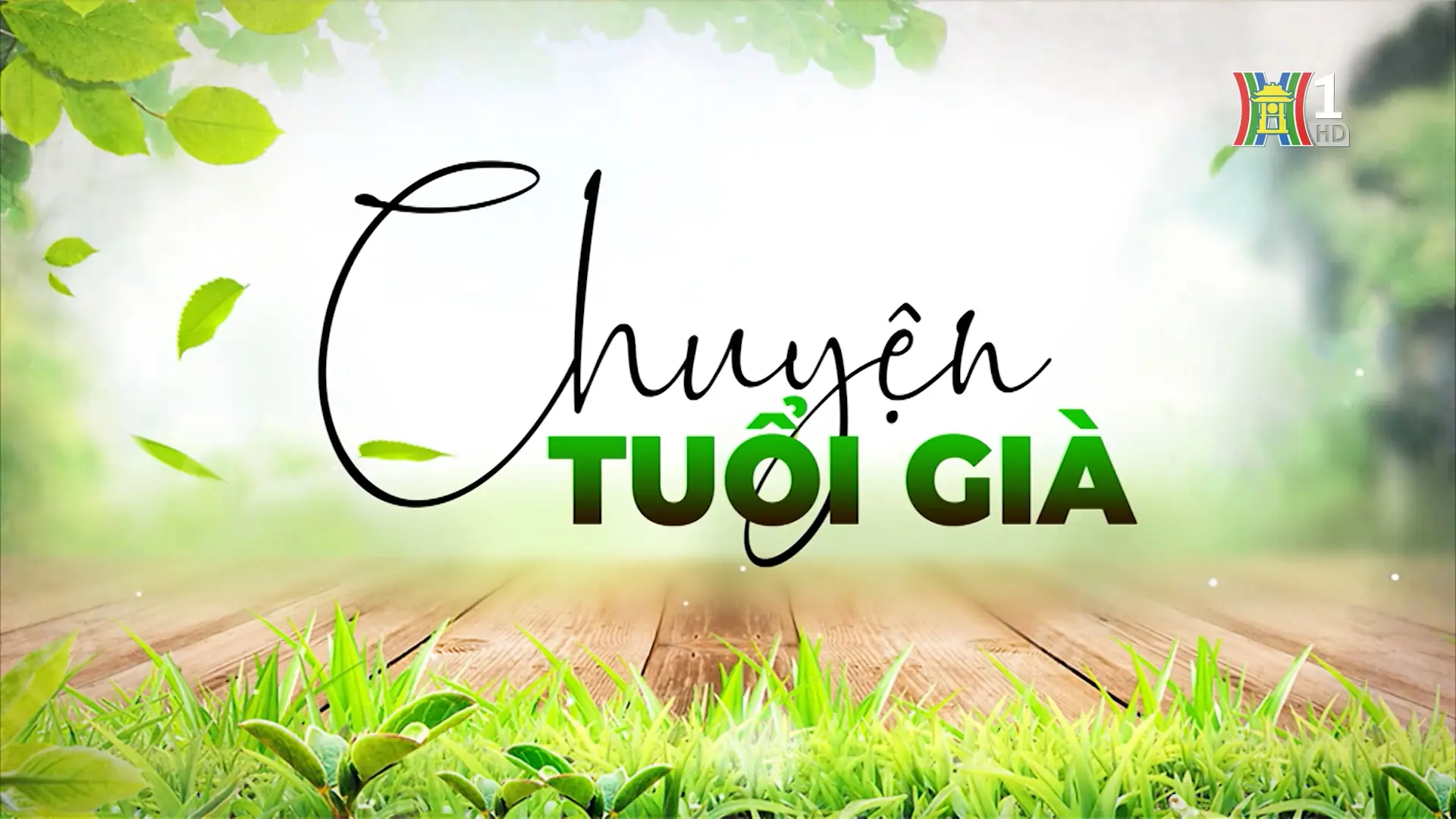 Sức mạnh của sự lạc quan | Chuyện tuổi già | 31/08/2025